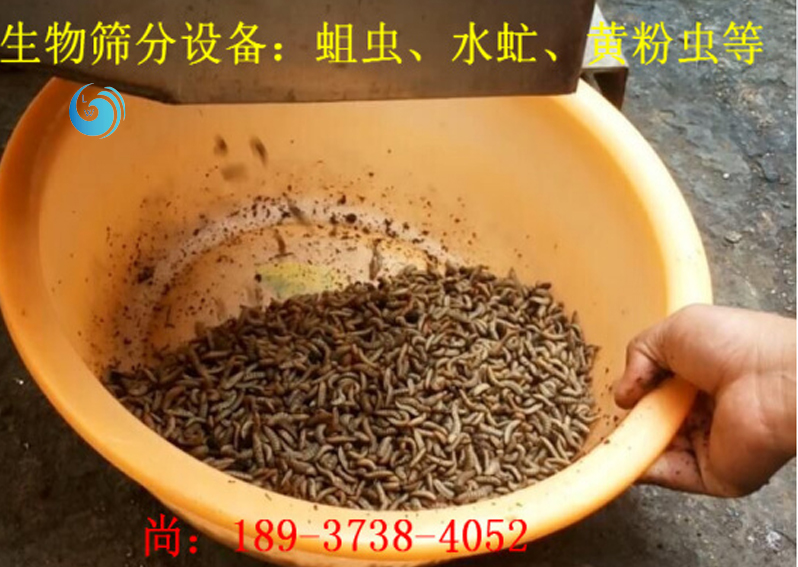 蛆虫筛选3层精东APP免费下载安装官方网站